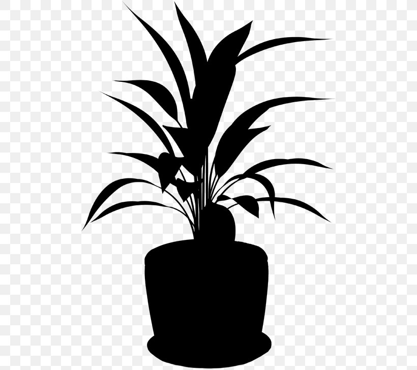 Palm Trees Clip Art Plant Stem Flower Leaf, PNG, 500x728px, Palm Trees, Arecales, Blackandwhite, Botany, Branching Download Free