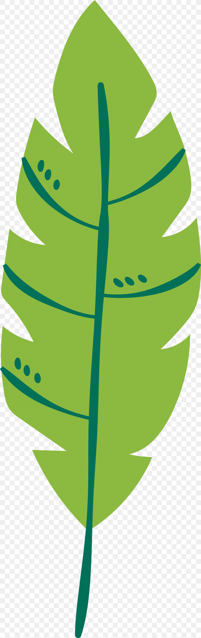 Plant Stem Leaf Green Fruit M-tree, PNG, 1321x4192px, Plant Stem, Biology, Fruit, Green, Lawn Download Free