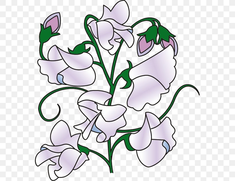 Sweet Pea Clip Art, PNG, 575x633px, Sweet Pea, Artwork, Bean, Butterfly Pea Flower Tea, Cut Flowers Download Free