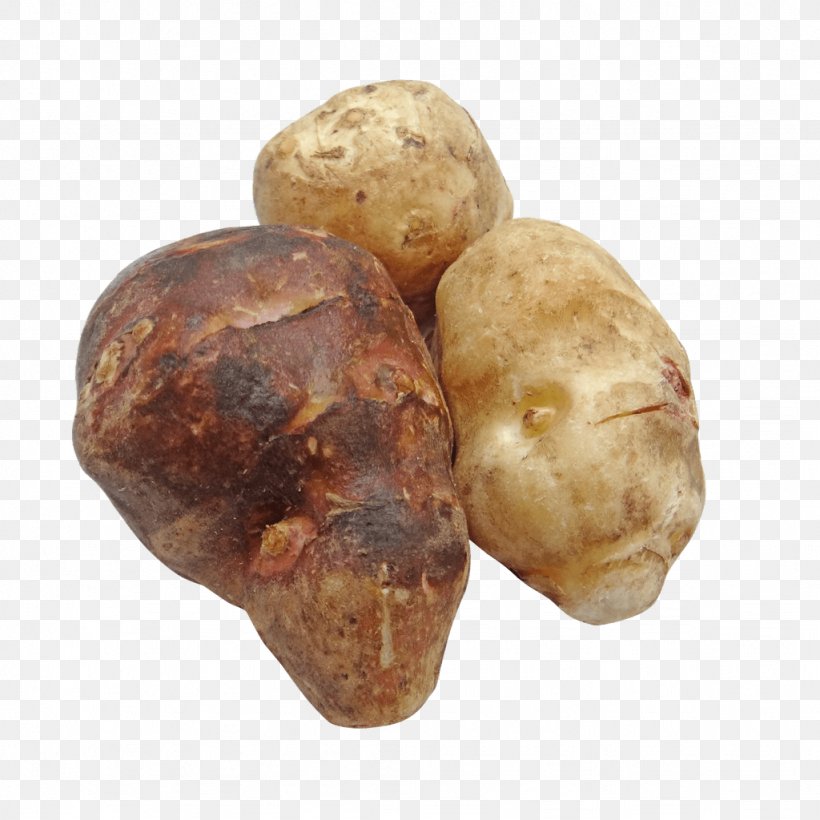 Tuber Potato Root Vegetables Jerusalem Artichoke, PNG, 1024x1024px, Tuber, Arracacia Xanthorrhiza, Artichoke, Food, Inulin Download Free