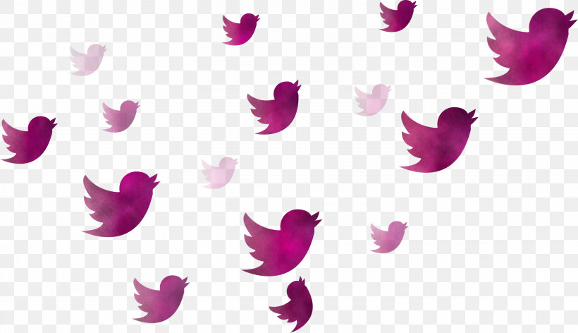 Twitter Flying Birds Birds, PNG, 2999x1729px, Twitter, Birds, Butterfly, Feather, Flying Birds Download Free
