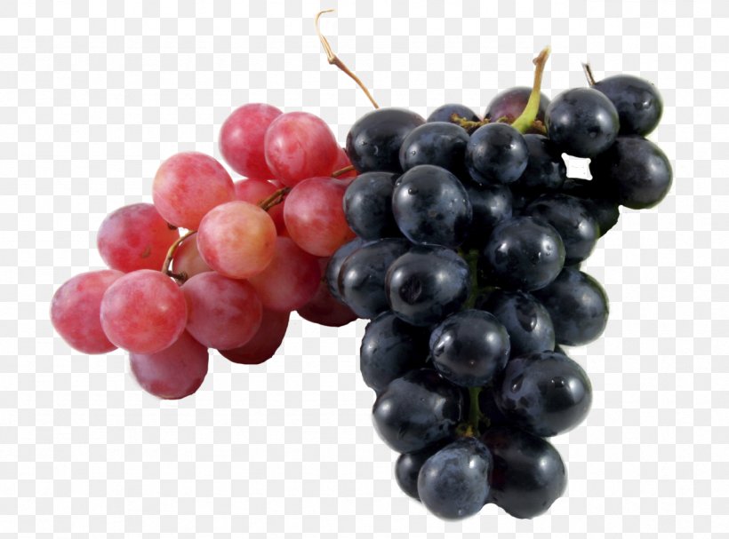 Wine Common Grape Vine Must Verjuice, PNG, 1281x949px, Wine, Berry, Common Grape Vine, Dieting, Flowering Plant Download Free
