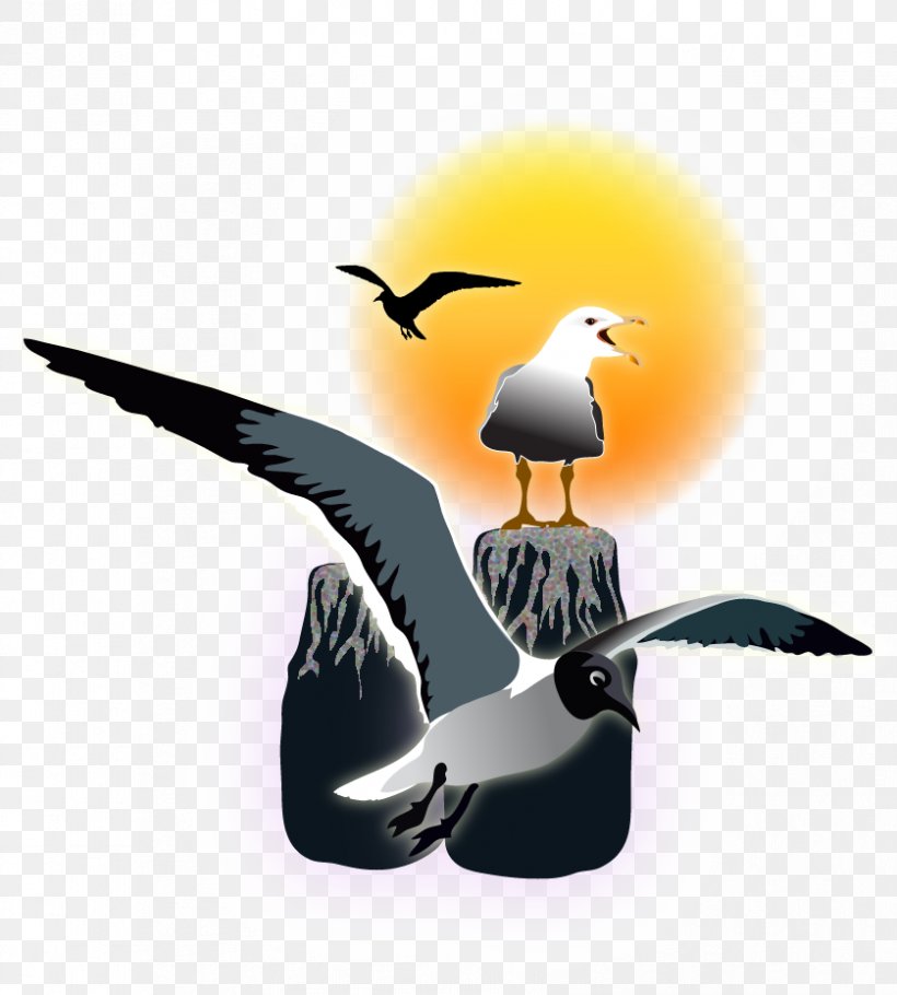 Beak Seabird Water Bird, PNG, 838x930px, Beak, Bird, Seabird, Water Bird, Wing Download Free