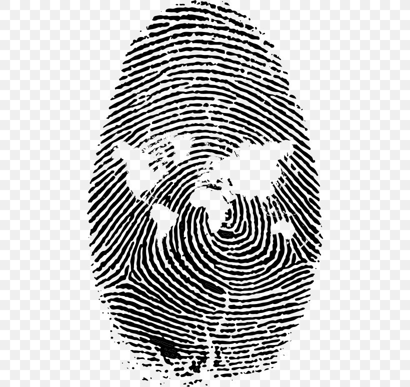 Fingerprint Clip Art, PNG, 474x774px, Fingerprint, Black, Black And White, Head, Image Resolution Download Free
