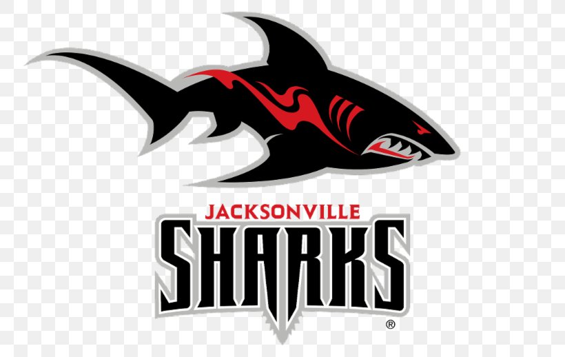 Jacksonville Sharks Logo American Football Great White Shark, PNG, 800x518px, Jacksonville Sharks, American Football, Automotive Design, Brand, Great White Shark Download Free