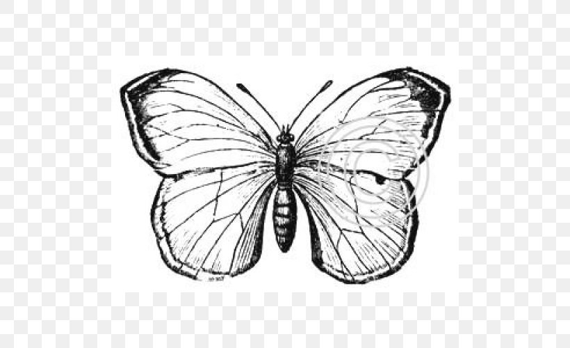 Monarch Butterfly Pieridae Moth Brush-footed Butterflies, PNG, 500x500px, Monarch Butterfly, Arthropod, Black And White, Brush Footed Butterfly, Brushfooted Butterflies Download Free