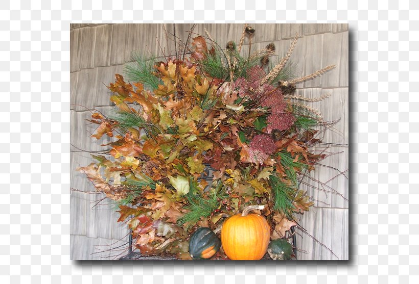 Wreath Cut Flowers Floral Design Floristry, PNG, 654x557px, Wreath, Autumn, Business, Christmas, Conifer Cone Download Free