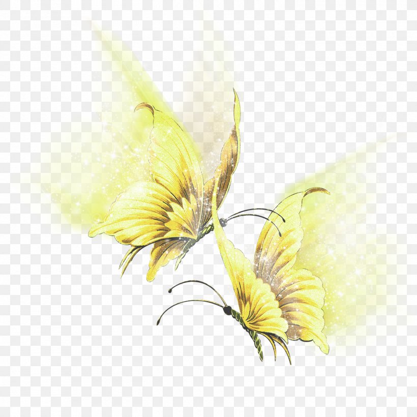 Butterfly Flügel Insect Art, PNG, 1500x1500px, Butterfly, Art, Blog, Butterflies And Moths, Flower Download Free