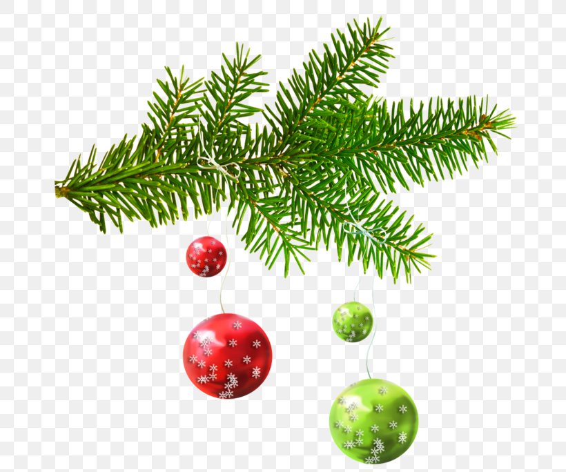 Christmas Ornament Fir Christmas Day New Year Tree, PNG, 699x684px, Christmas Ornament, Branch, Christmas, Christmas Card, Christmas Day Download Free