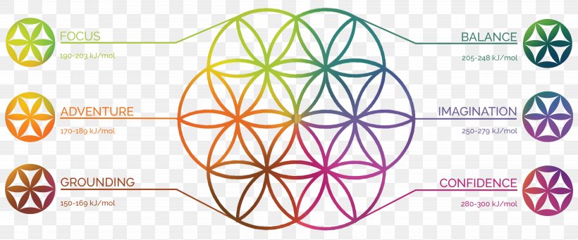 Coloring Book Mandala Meditation, PNG, 5000x2083px, Coloring Book, Area, Book, Brand, Diagram Download Free