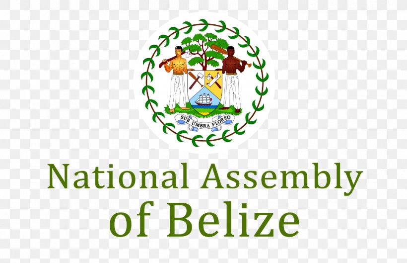 Flag Of Belize Coat Of Arms Of Belize Stock Photography, PNG, 968x625px, Belize, Area, Brand, Coat Of Arms Of Belize, Flag Download Free