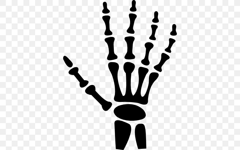 Hand Human Skeleton Bone, PNG, 512x512px, Hand, Black And White, Bone, Carpal Bones, Finger Download Free