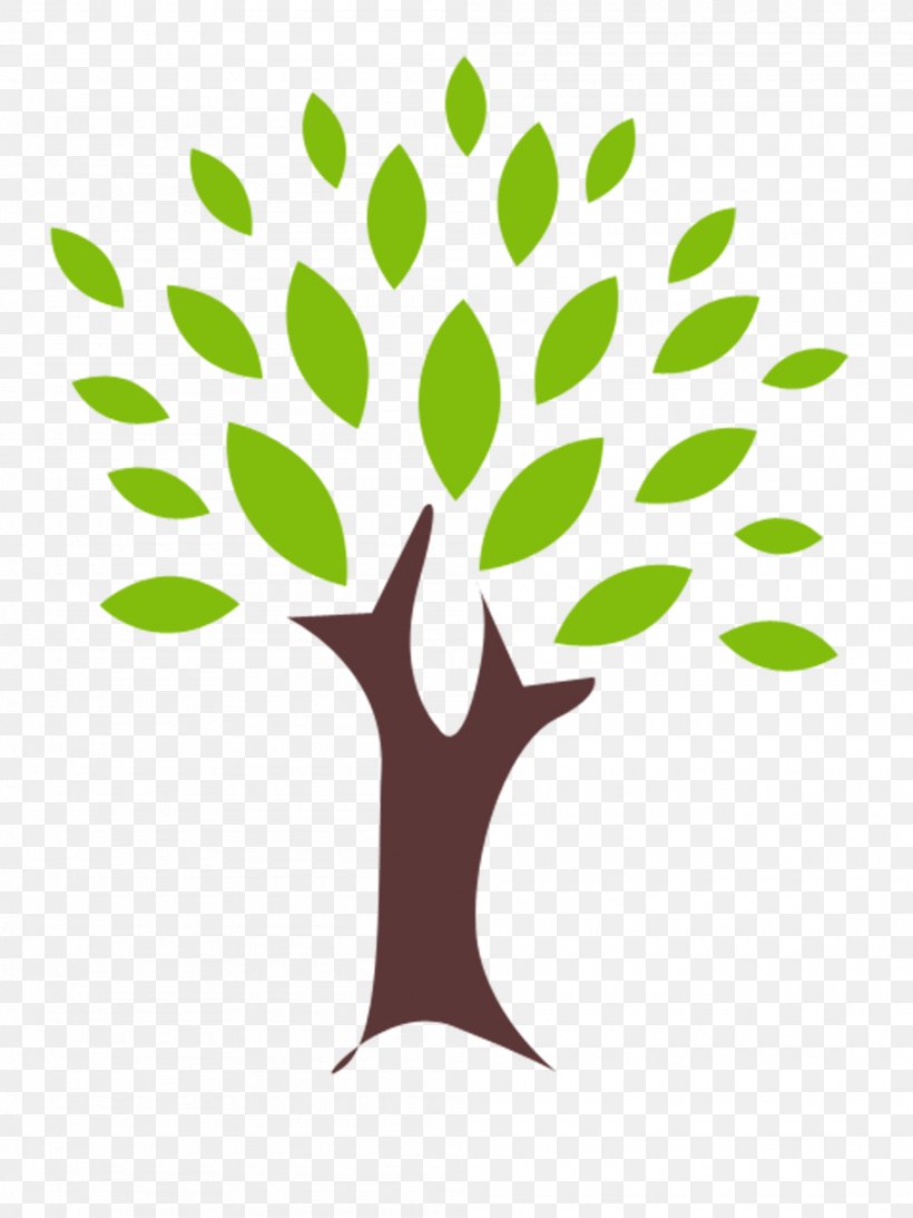Tree Drawing Clip Art, PNG, 2000x2667px, Tree, Branch, Deciduous, Drawing, Flora Download Free