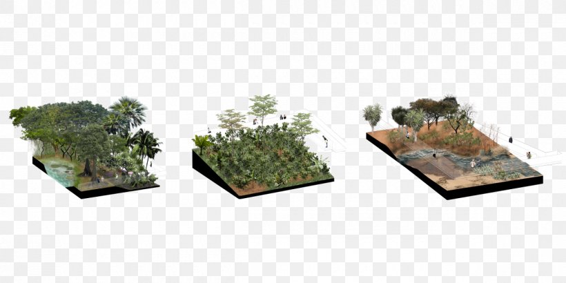 Tree Flowerpot, PNG, 1200x600px, Tree, Flowerpot, Grass, Plant Download Free