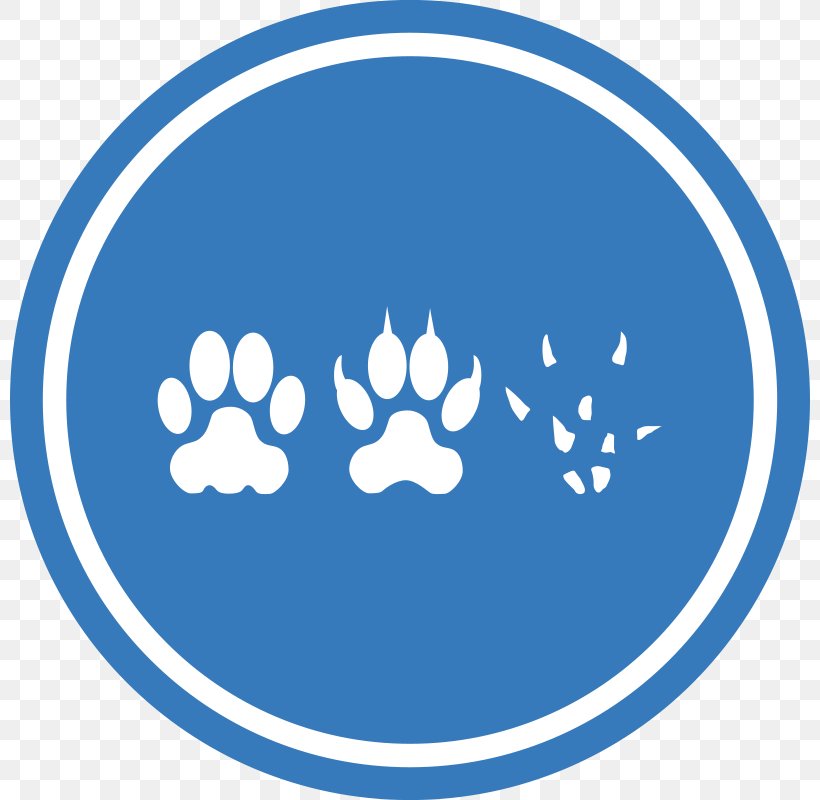 Dogu2013cat Relationship Dogu2013cat Relationship Mouse Clip Art, PNG, 800x800px, Dog, Area, Blue, Cat, Catdog Download Free
