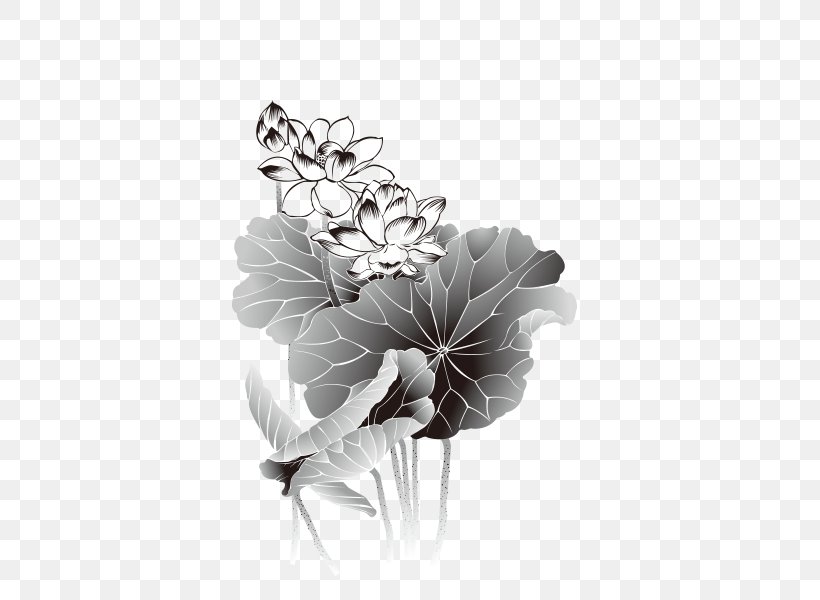 Lotus Nelumbo Nucifera, PNG, 600x600px, Lotus, Black And White, Butterfly, Drawing, Flora Download Free