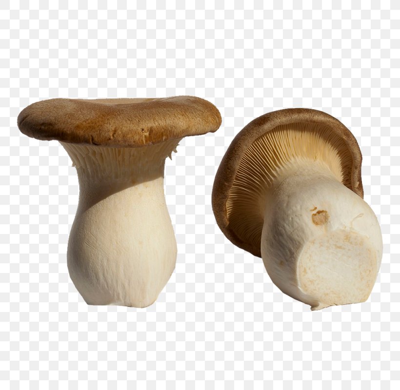 Pleurotus Eryngii Boletus Edulis Mushroom Périgord Black Truffle Food, PNG, 800x800px, Pleurotus Eryngii, Agaricaceae, Boletus, Boletus Edulis, Cultivar Download Free