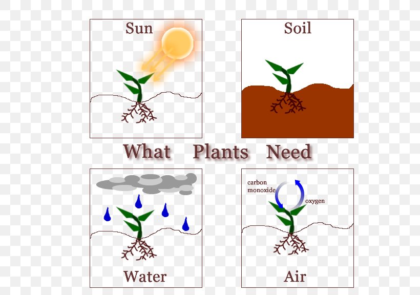 What Plants Need What A Plant! Why, PNG, 576x576px, Plant, Aquatic Plants, Area, Artwork, Branch Download Free