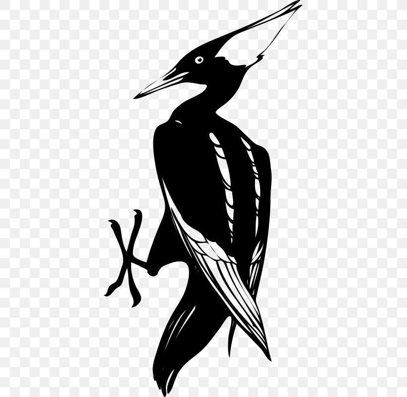 Woody Woodpecker Clip Art, PNG, 401x800px, Woodpecker, Art, Artwork, Beak, Bird Download Free