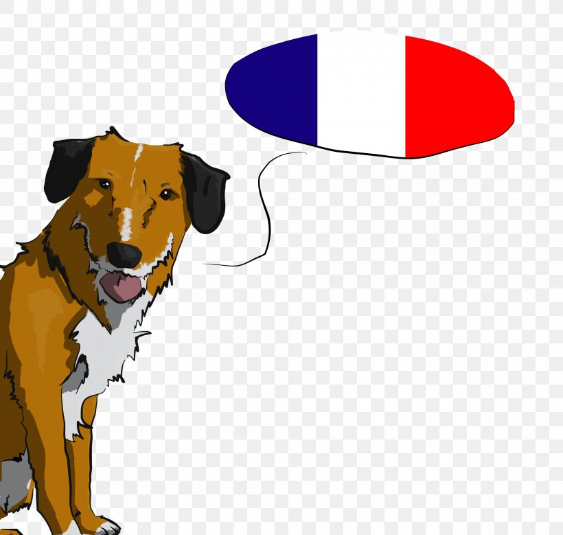 Dog Breed Puppy Companion Dog Leash, PNG, 4000x3800px, Dog Breed, Breed, Carnivoran, Companion Dog, Dog Download Free