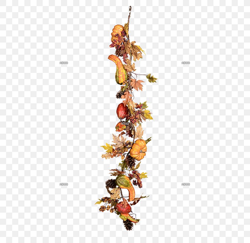 Garland Autumn Spring Cucurbita Christmas, PNG, 800x800px, Garland, Autumn, Autumn Leaf Color, Blume, Branch Download Free