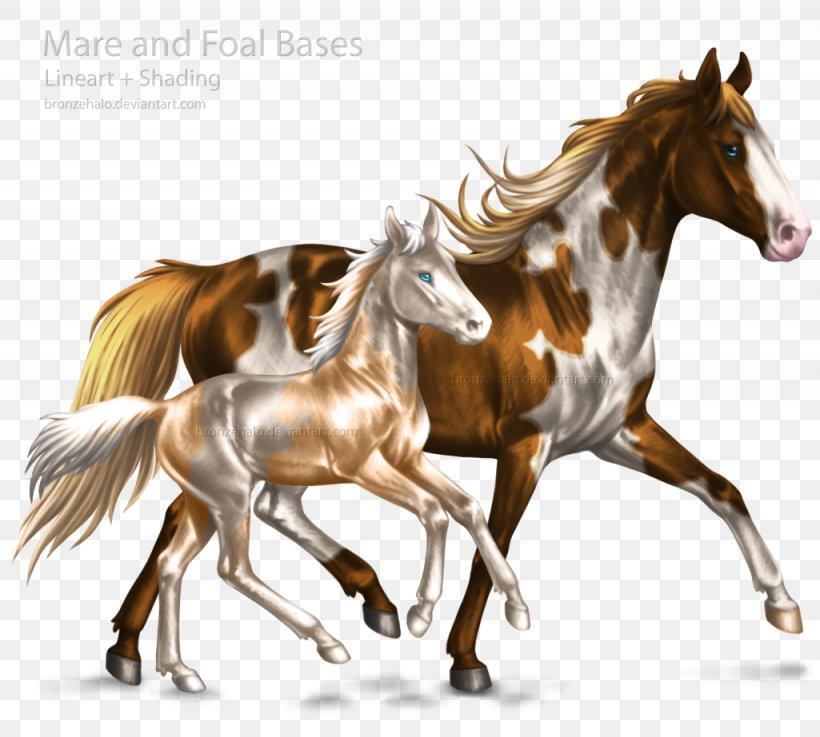 Mare Foal Mustang Stallion Mane, PNG, 1025x922px, Mare, Bridle, Cob, Colt, Drawing Download Free