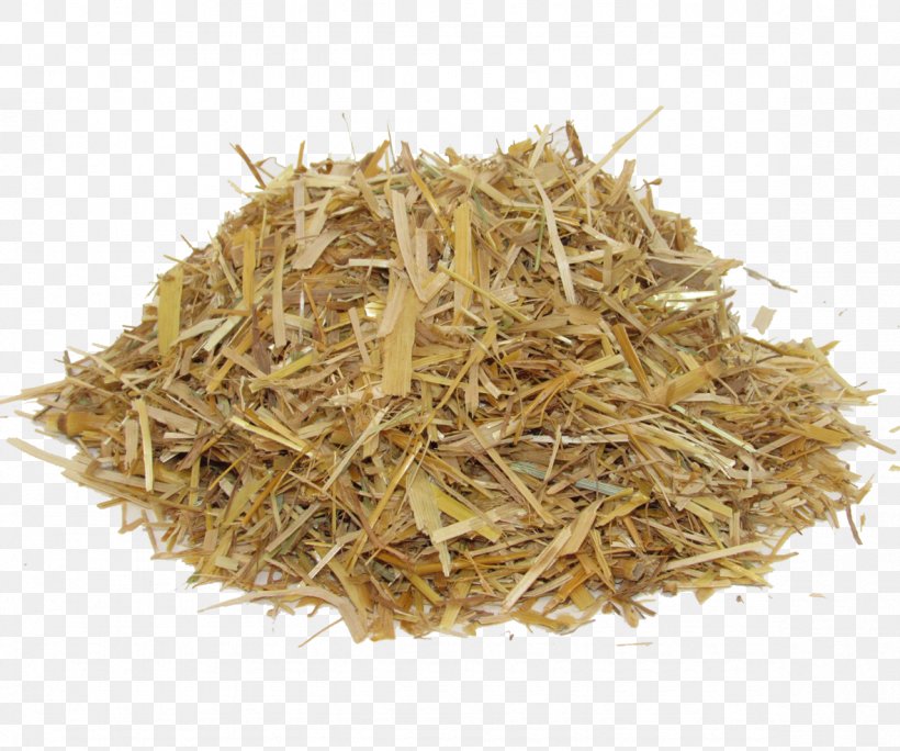 Oat Straw Hay Paper, PNG, 1181x986px, Oat, Agriculture, Avena, Cereal, Chaff Download Free
