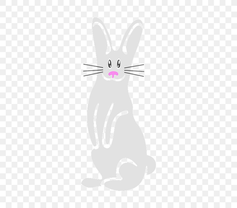 Whiskers Domestic Rabbit Hare Easter Bunny Mouse, PNG, 720x720px, Whiskers, Cartoon, Cat, Cat Like Mammal, Computer Mouse Download Free