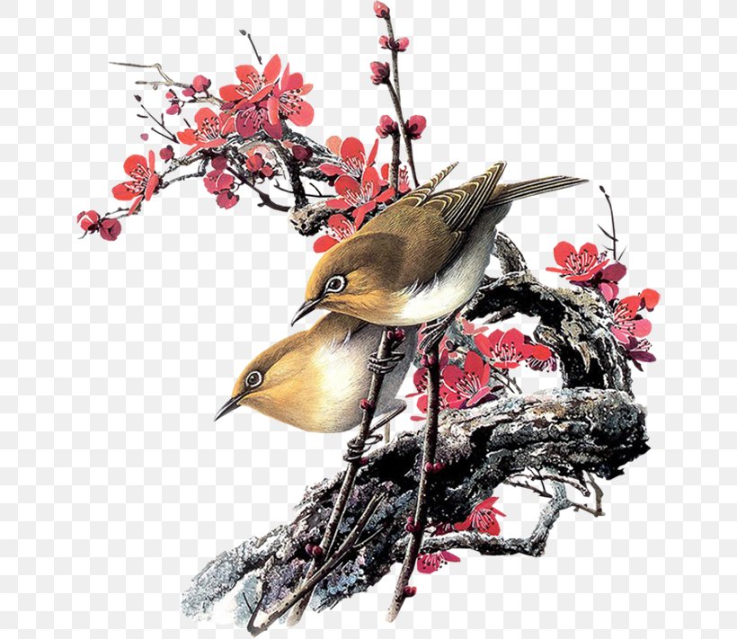 Bird Watercolor Painting Oil Paint Image, PNG, 650x711px, Bird, Art, Artist, Beak, Bird Nest Download Free