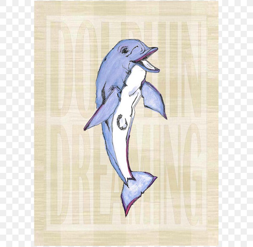 Dolphin Penguin Cobalt Blue Beak, PNG, 800x800px, Dolphin, Beak, Bird, Blue, Cobalt Download Free