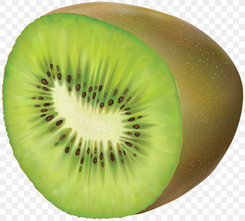 Kiwifruit Clip Art, PNG, 5000x4523px, Kiwifruit, Close Up, Food, Fruit, Kiwi Download Free