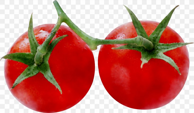 Plum Tomato Image Transparency, PNG, 2665x1554px, Plum Tomato, Bell Pepper, Bush Tomato, Cherry Tomatoes, Chili Pepper Download Free
