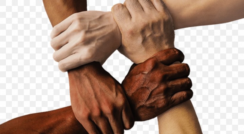 United States Business Multiculturalism Society Racism, PNG, 1000x550px, United States, Arm, Business, Chiropractor, Corporation Download Free