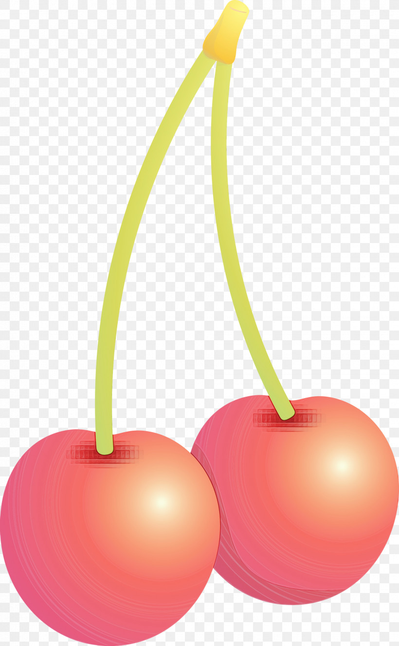 Cherry Fruit Plant Tree Drupe, PNG, 1850x3000px, Cherry, Drupe, Fruit, Paint, Plant Download Free