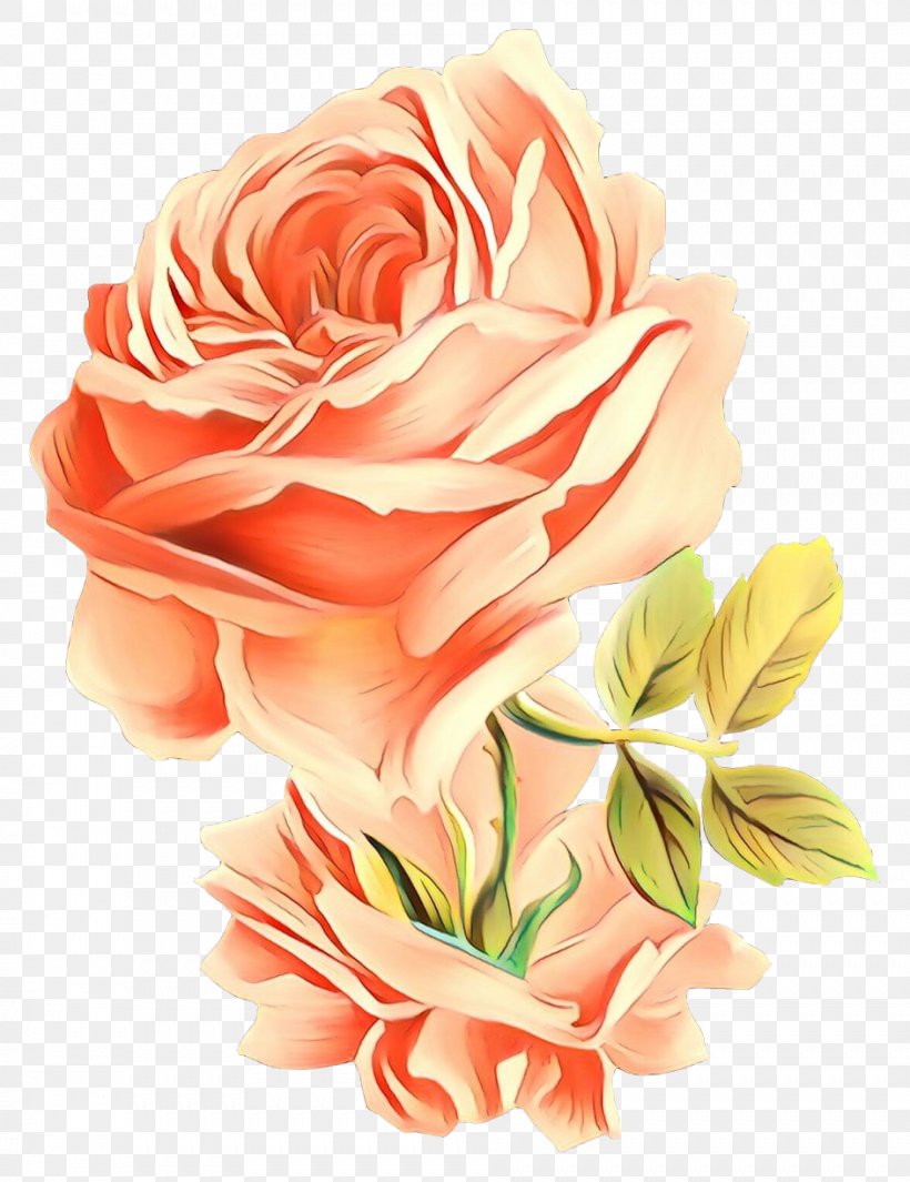 Garden Roses, PNG, 943x1225px, Cartoon, Cut Flowers, Flower, Garden Roses, Orange Download Free