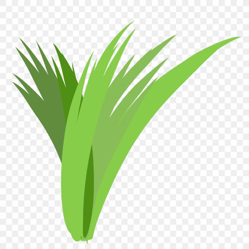 Palm Trees Logo Font Grasses Desktop Wallpaper, PNG, 1000x1000px, Palm Trees, Arecales, Computer, Grass, Grass Family Download Free