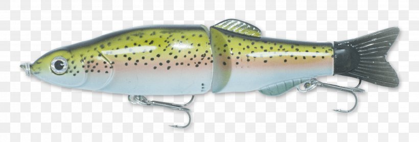 Trophy Technology Spoon Lure Trout Perch Fish, PNG, 2779x945px, Trophy Technology, Bait, Bangladesh, Bird, Bony Fish Download Free