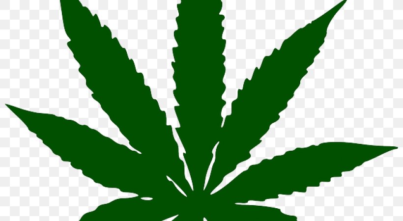 Clip Art Cannabis Sativa Medical Cannabis Image, PNG, 800x450px, Cannabis, Cannabis Sativa, Cannabis Smoking, Drawing, Drug Download Free