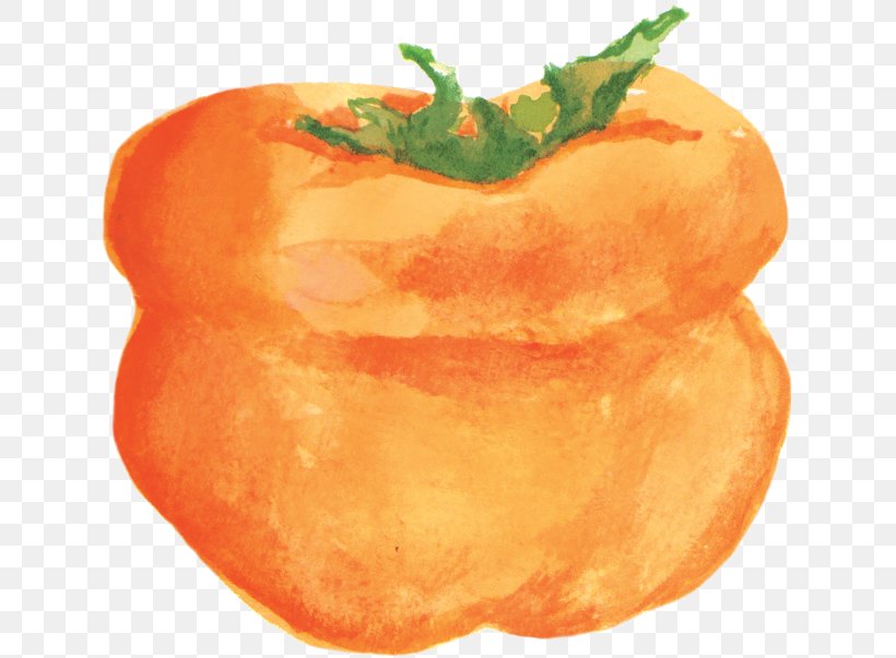 Vegetarian Cuisine Persimmons Food, PNG, 633x603px, Vegetarian Cuisine, Cucurbita Maxima, Diet Food, Diospyros, English Watercolour Painting Download Free