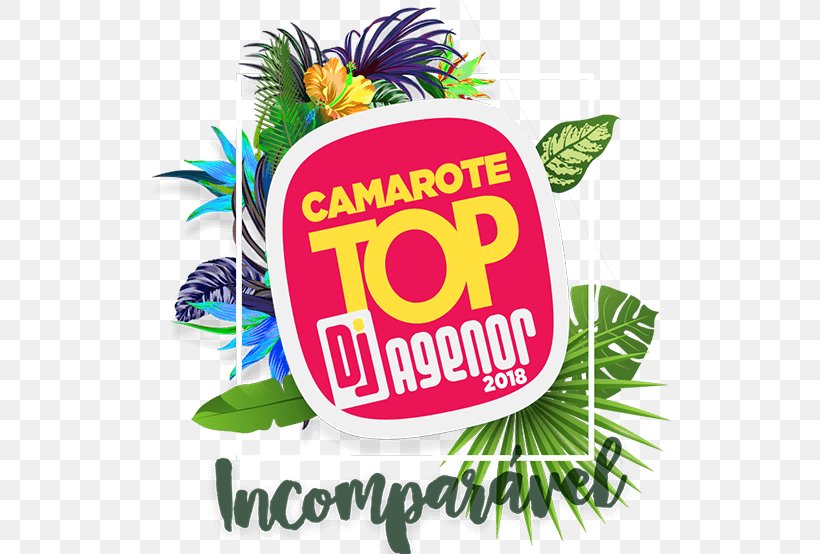 Camarote DJ Agenor (Micareta De Feira De Santana) Square Meter, PNG, 524x554px, Micareta, Area, Brand, Feira De Santana, Food Download Free