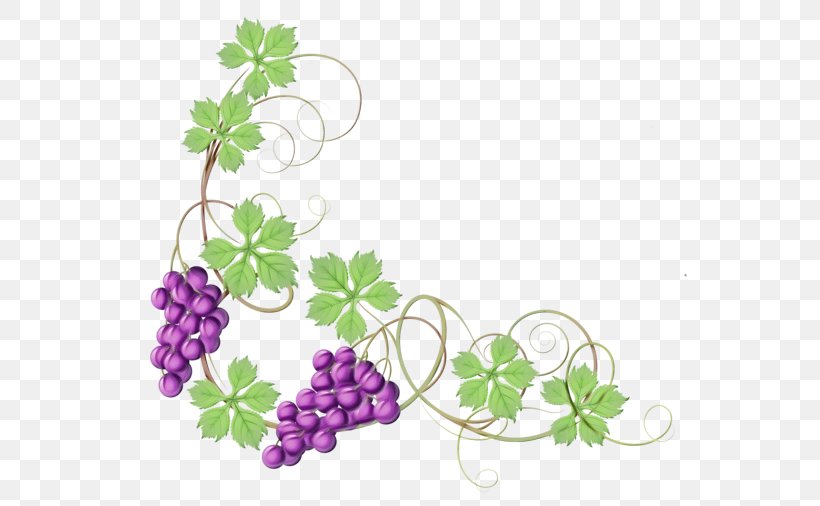 Grape Leaf Grapevine Family Grape Leaves Flower, PNG, 600x506px, Watercolor, Flower, Flowering Plant, Grape, Grape Leaves Download Free