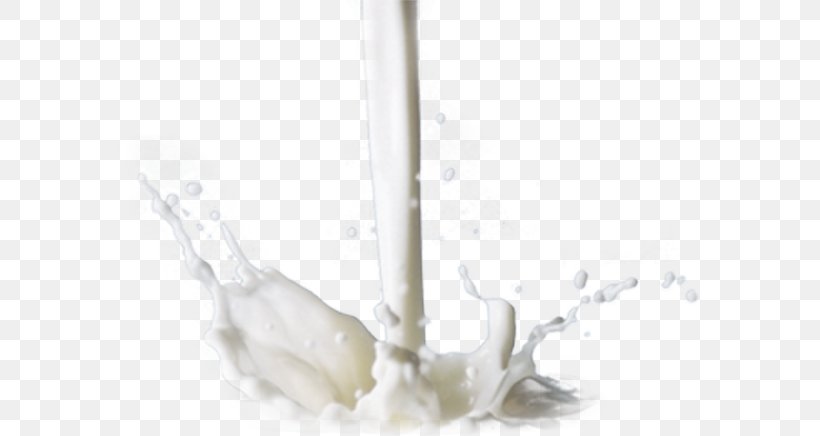 Dairy Products, PNG, 592x436px, Dairy Products, Dairy, Dairy Product Download Free