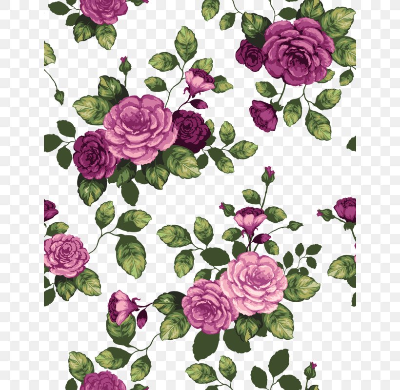Garden Roses, PNG, 640x800px, Rose, Floral Design, Flower, Garden Roses, Pink Download Free