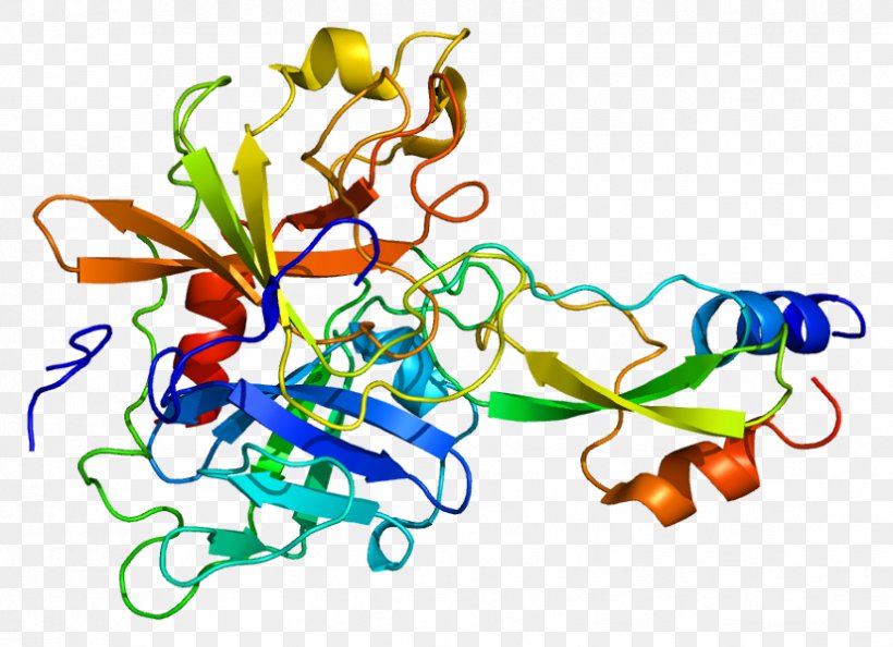SPINT1 Chemical Reaction Enzyme Kunitz Domain Protease Inhibitor, PNG, 826x599px, Chemical Reaction, Artwork, Chemistry, Enzyme, Enzyme Catalysis Download Free