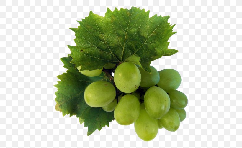 Wine Grapevines Sultana Food, PNG, 500x503px, Wine, Apple, Cooking Banana, Food, Fruit Download Free