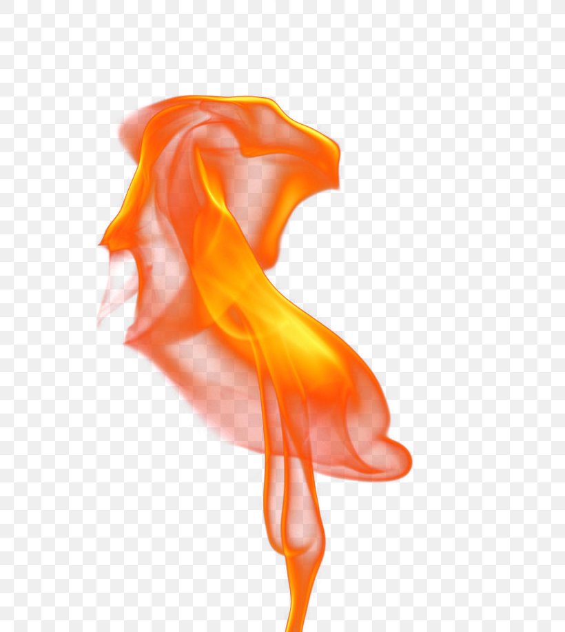 Flame, PNG, 650x917px, Light, Color, Combustion, Fire, Fish Download Free