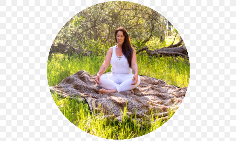 Meditation Reiki Pranic Healing Reflexology, PNG, 511x492px, Meditation, Australia, Bunbury Music Festival, College, Crystal Download Free