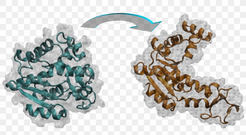 Molecular Dynamics Genome Bioinformatics RNA-targeting Small Molecule Drugs, PNG, 892x492px, Molecular Dynamics, Bioinformatics, Biomolecular Structure, Body Jewelry, Dna Download Free