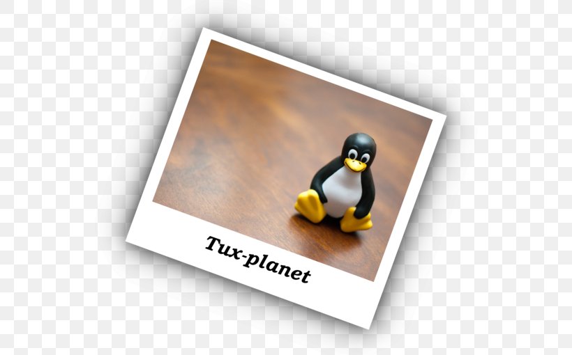 Penguin Brand, PNG, 620x510px, Penguin, Brand, Flightless Bird Download Free