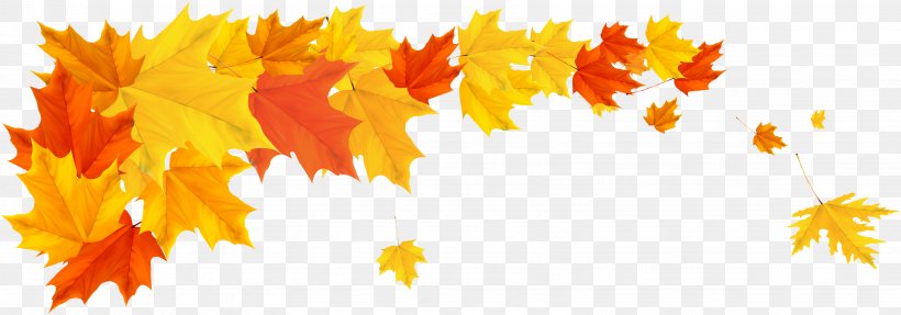 Autumn Cartoon, PNG, 3083x1081px, Autumn, Autumn Leaf Color, Borders And Frames, Leaf, Maple Download Free